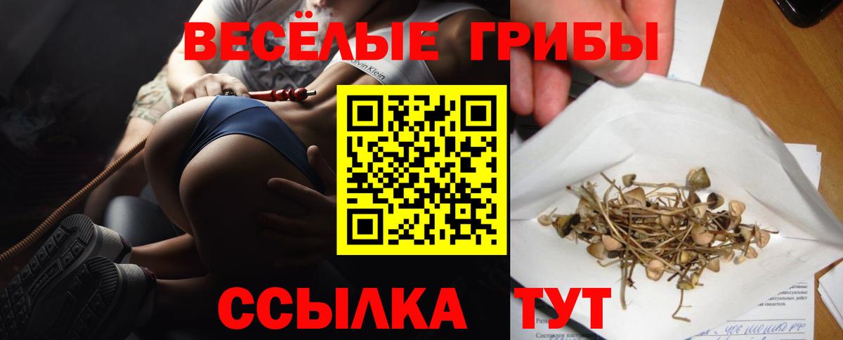 Псилоцибиновые грибы мицелий  Галлюциногенные грибы Psilocybe  Орск  Вход с VPN 
